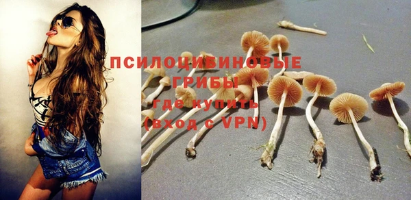 дмт Вязники