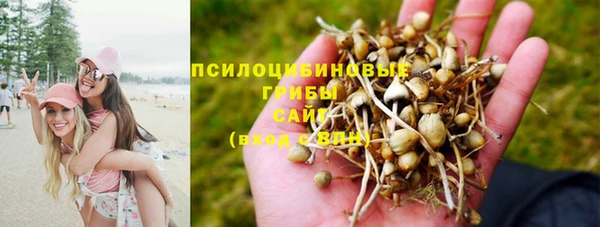 дмт Вязники