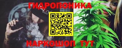 apvp Бийск