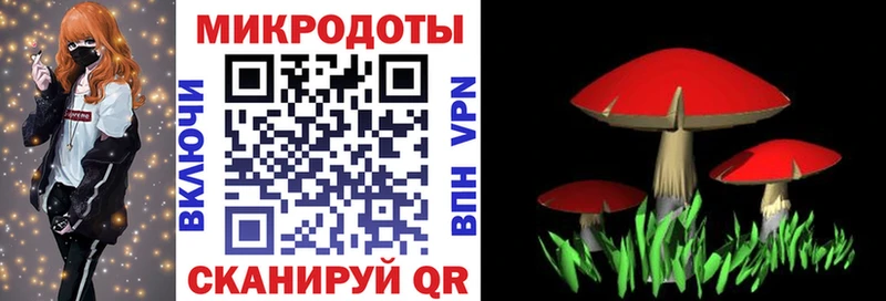 Псилоцибиновые грибы Psilocybe  как найти закладки  Гуково 